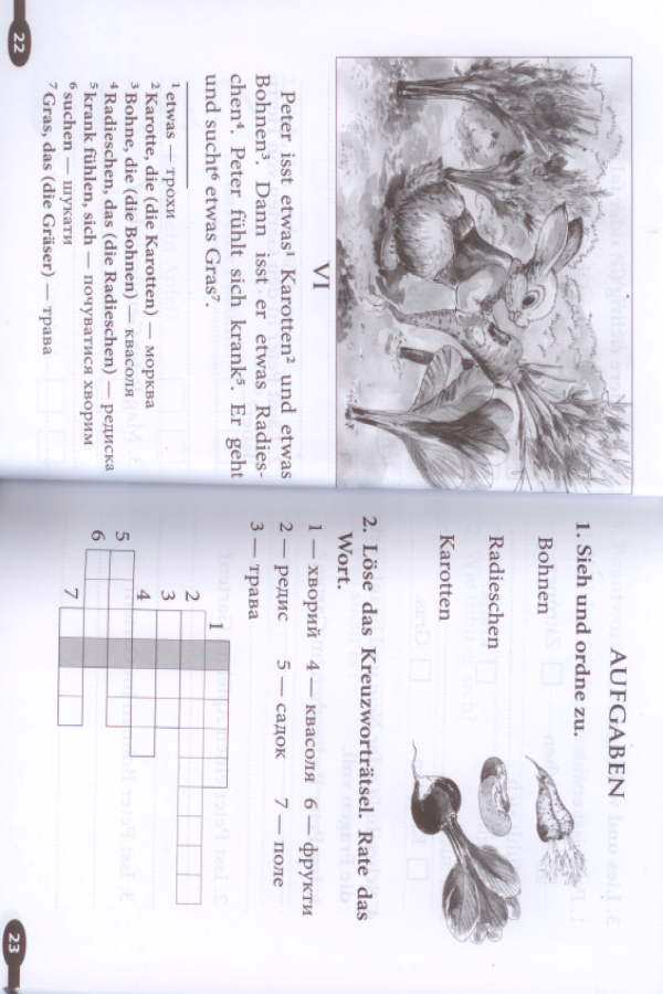 Die Geschichte von Peter Haschen (Кролик Петер)