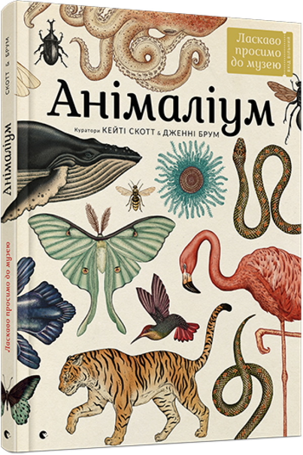 Анімаліум
