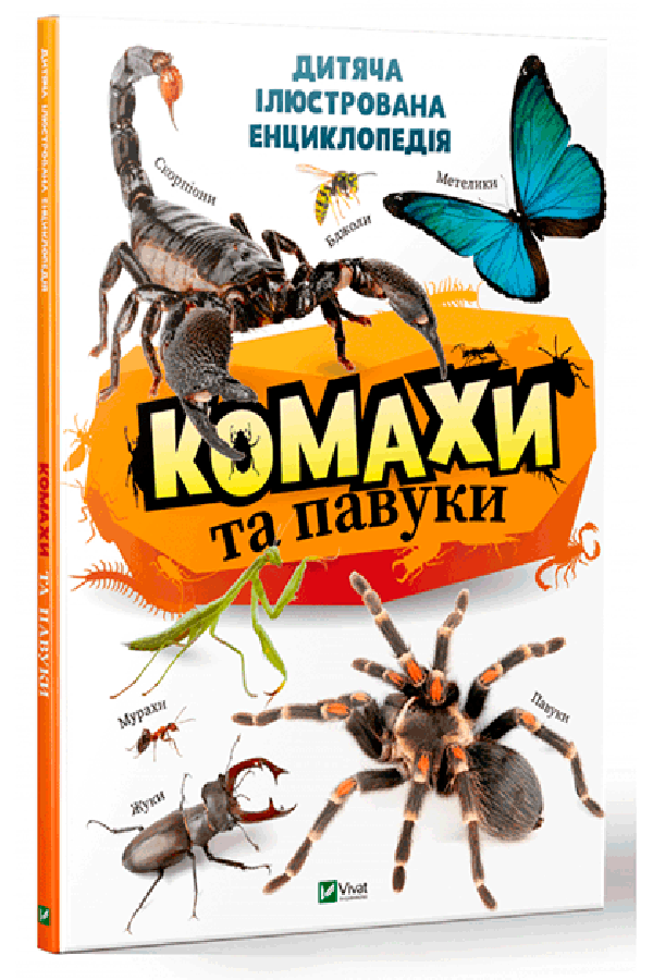 Комахи та павуки